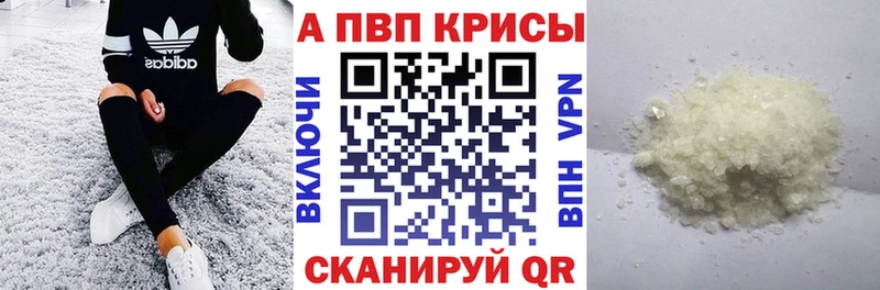 A PVP СК  Дно 