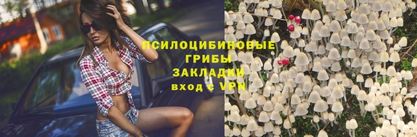 a pvp Аркадак
