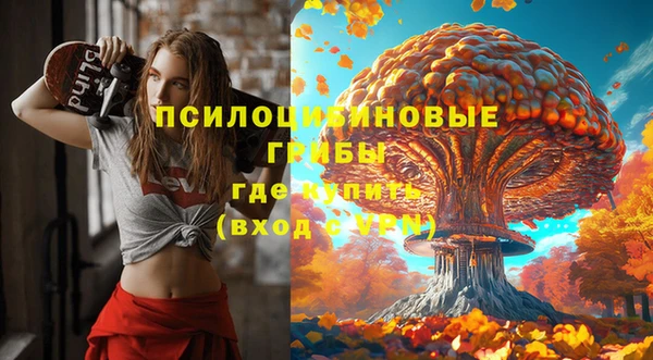 a pvp Аркадак