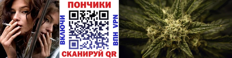МЕГА рабочий сайт Дно Шишки марихуана сатива цены